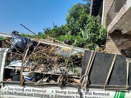 Best Same-Day Junk Removal Services  in Tazewell, TN