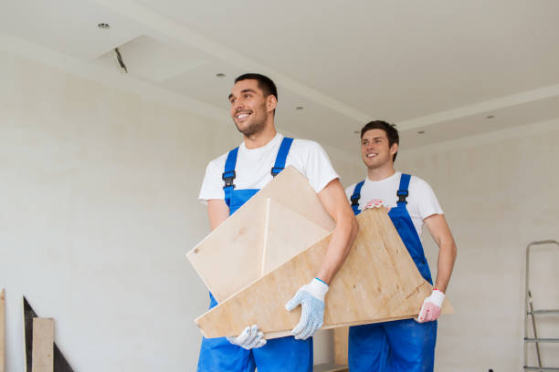 Best Basement Cleanout  in Tazewell, TN