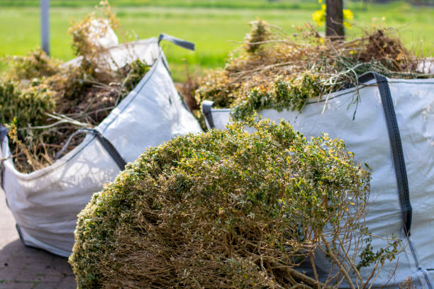 Best Yard Waste Removal  in Tazewell, TN