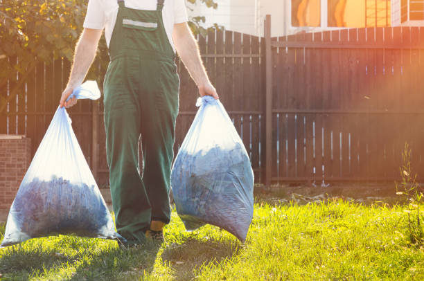 Best Basement Cleanout  in Tazewell, TN